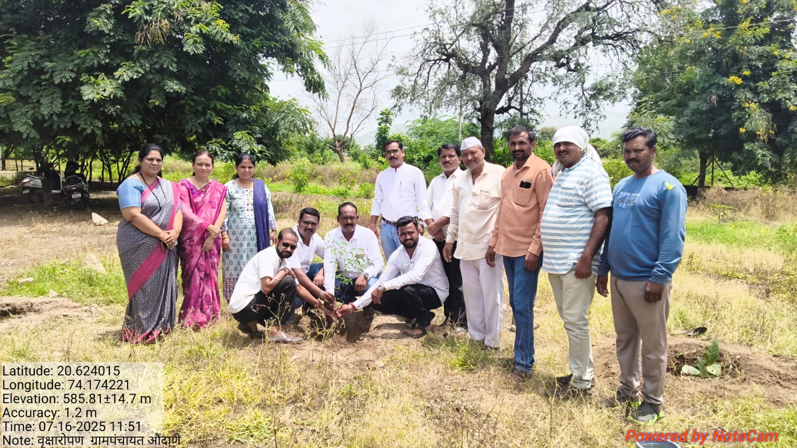 जिल्हा परिषद शाळा वृक्ष लागवड